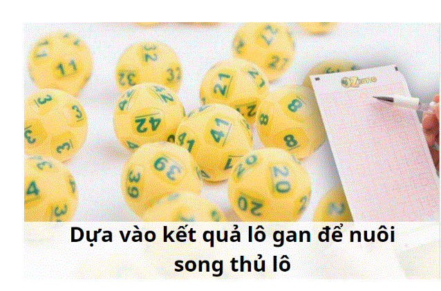 Song thủ lô nuôi khung 5 ngày 1